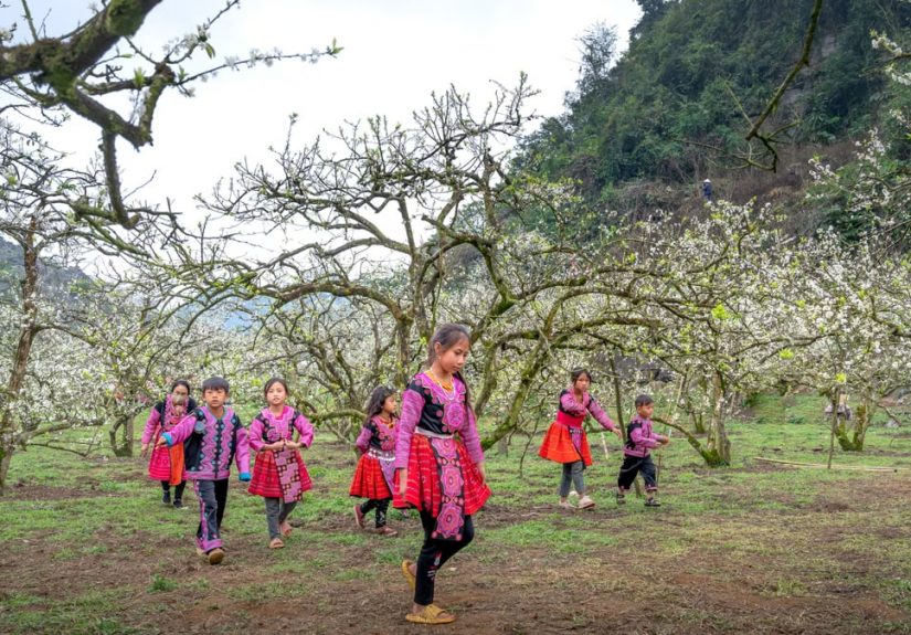Group of children in traditional clothing enjoying a plum orchard in spring.